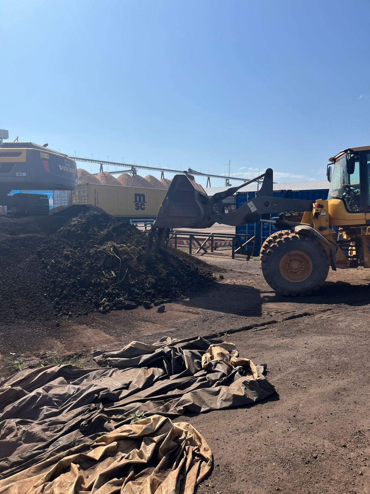 Escavadeira de grande porte em operação